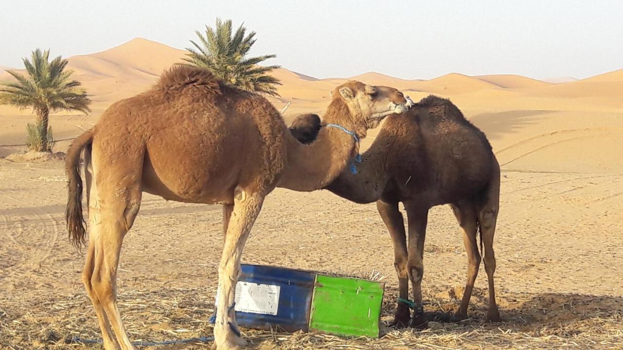 Fabulous Luxury Camp Hotel Merzouga Buitenkant foto
